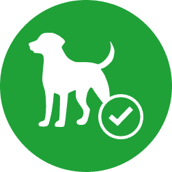 Icon with a dog pictured on the subject of dogs allowed on motorhome caravan pitches